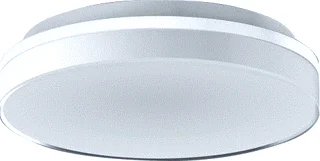 RZB RZB HB 505 LED Plafond- en wandarmatuur 15W 3000lm 3000-4000K