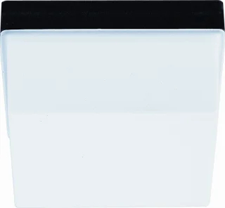 RZB RZB Quadrat LED Plafond- en wandarmatuur 17W E27