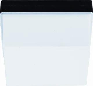 RZB Quadrat LED Plafond- en wandarmatuur 17W E27