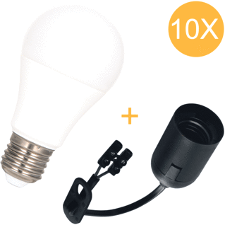 Bailey Ecobasic LED Pendelarmatuur 830lm 4000K E27