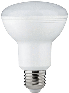 Paulmann LED-lamp 95W 2700K E27 foto 1