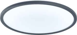Ledvance LED Wandarmatuur 25W 1870lm 2700-6500K foto 1