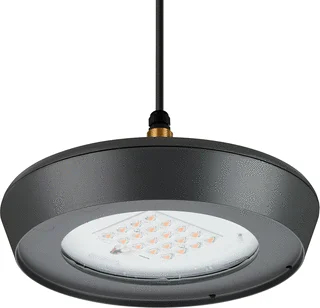 Signify Signify CityVario LED Straat- en pleinverlichtingsarm. 32.6W 3000K BSS300 DM16P S