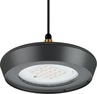 Signify CityVario LED Straat- en pleinverlichtingsarm. 32.6W 3000K BSS300 DM16P S foto 1
