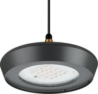 Signify CityVario LED Straat- en pleinverlichtingsarm. 32.6W 3000K BSS300 DM16P S