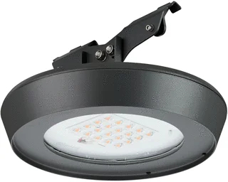 Philips Philips CityVario LED Straat- en pleinverlichtingsarm. 32.6W 3000K BSS301 DM16P S