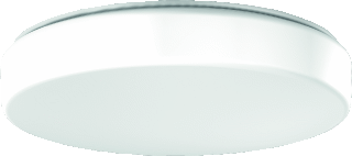 RZB Flat Polymero Kreis LED Noodverlichting 20W 2050lm 4000K