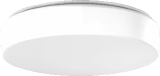 RZB RZB Flat Polymero Kreis LED Plafond- en wandarmatuur 14W 1650lm 3000K