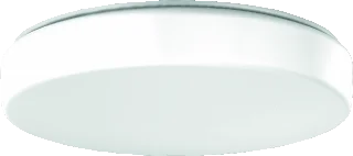 RZB RZB Flat Polymero Kreis LED Plafond- en wandarmatuur 19W 2050lm 3000K