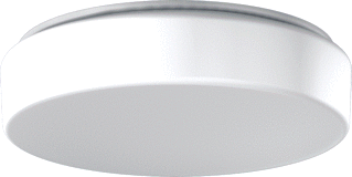 RZB RZB Flat Polymero Kreis LED Plafond- en wandarmatuur 12W 1200lm 3000K