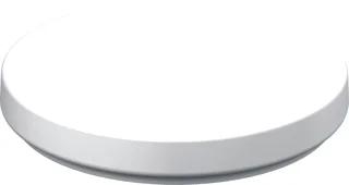 RZB Flat Polymero Kreis Slim LED Plafond- en wandarmatuur 19W 2100lm 4000K