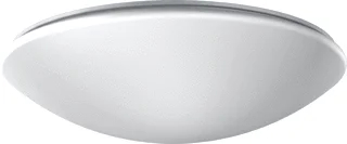 RZB RZB Flat Polymero LED Plafond- en wandarmatuur 29W 3200lm 3000K