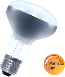 Bailey LED-lamp 6W 640lm 1900-2700K E27
