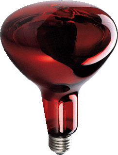 Sylvania IR-lamp 250W E27 IR R125 foto 1