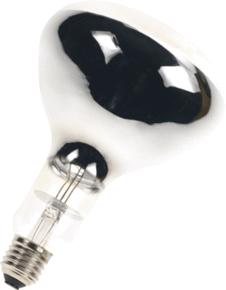 VICTORY IR-lamp 375W E27 foto 1