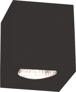 Delta Light BOXY LED Opbouw Downlight 50W GU10 foto 1