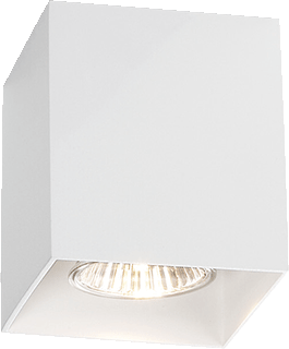 Delta Light BOXY LED Opbouw Downlight 50W GU10 foto 1