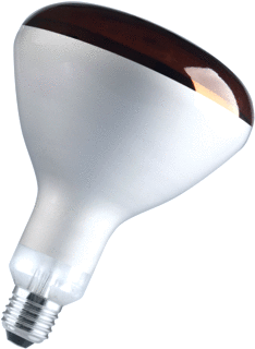 VICTORY IR-lamp 150W E27
