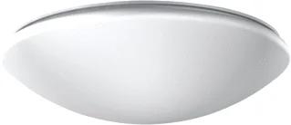 RZB Flat Polymero LED Plafond- en wandarmatuur 24W 2600lm 4000K D515