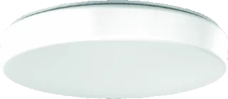 RZB Flat Polymero Kreis LED Plafond- en wandarmatuur 24W 2650lm 3000K