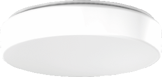 RZB RZB Flat Polymero Kreis LED Plafond- en wandarmatuur 14W 1600lm 3000K