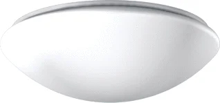 RZB RZB Flat Polymero LED Plafond- en wandarmatuur 12W 1150lm 3000K