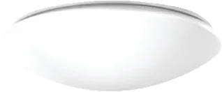 RZB RZB Flat Polymero LED Plafond- en wandarmatuur 12W 1150lm 3000K