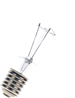Bailey Bailey GLS Gloeilamp standaard 500W E40