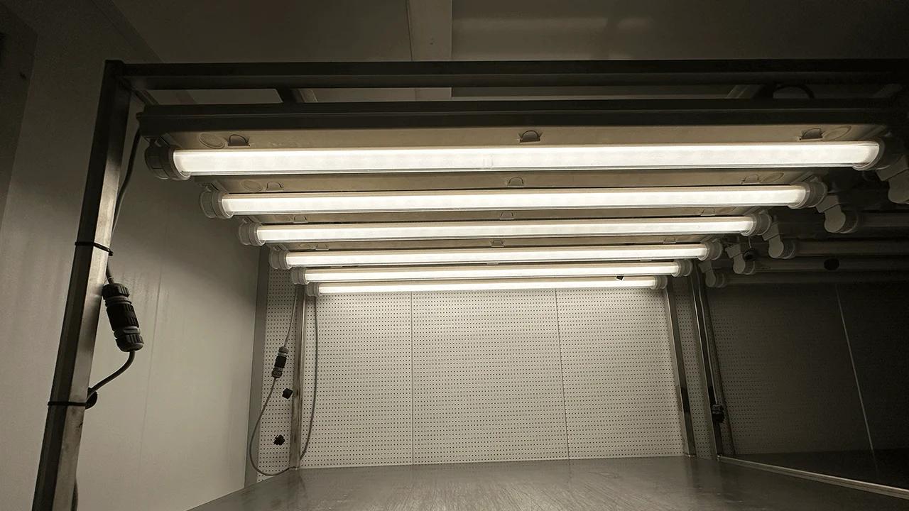 Zadenkwekerij BASF — foto 4
