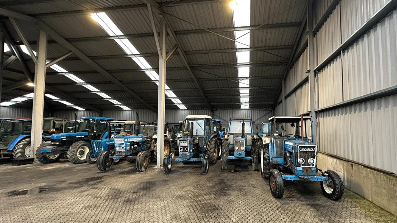 Beukeveld Exports — foto 3