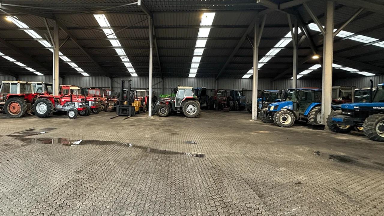 Beukeveld Exports — foto 4