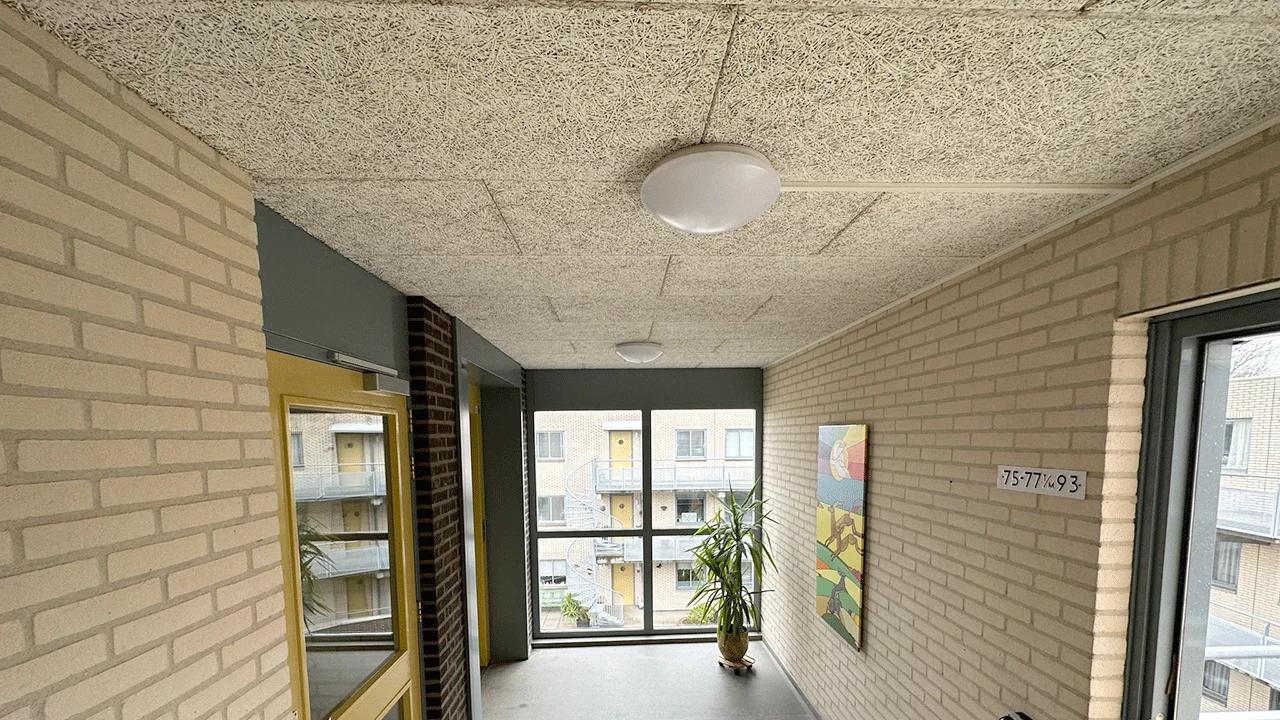 VvE Justus van Effenhof — foto 4